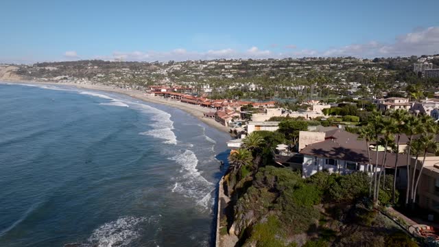 Aerial view of the cliffs, the surf and palm trees at La Jolla Shores.