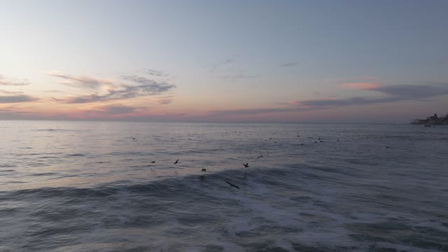 Low aerial view of the beach, the surf and wildlife at Bird Rock.