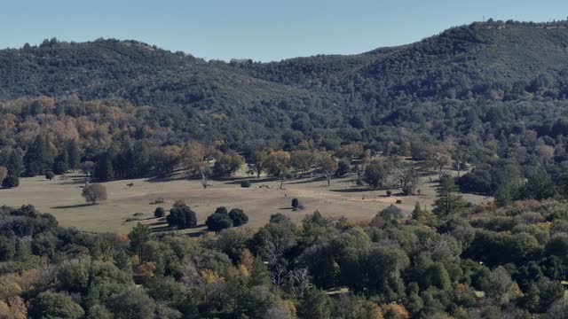 Aerial footage from the mountain town of Julian | Drone Video – 6