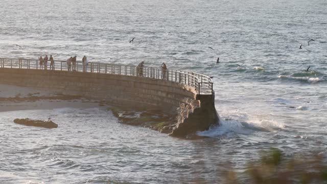 Elevated view of the cliffs, the surf and wildlife at La Jolla Cove, with people walking.