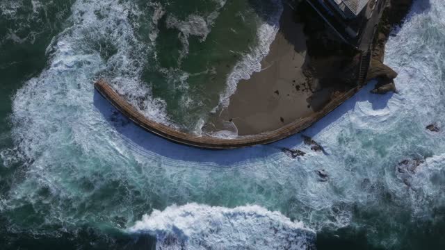 Aerial view of the beach, the surf and wildlife at La Jolla Village.