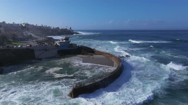 Aerial view of the beach, the surf and palm trees at La Jolla Village.
