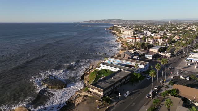 Aerial view of the cliffs, palm trees and the ocean at Sunset Cliffs.