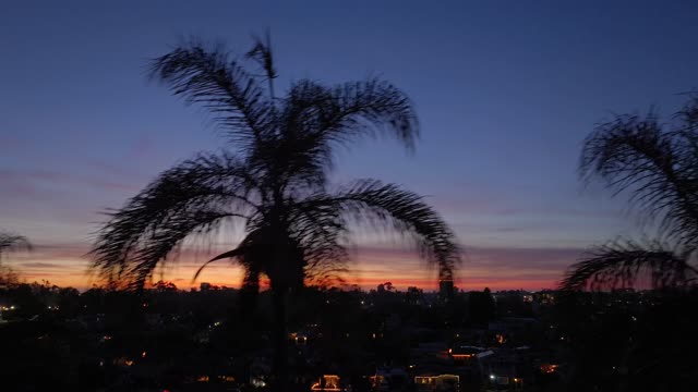 A residential street, palm trees and homes in North Park.