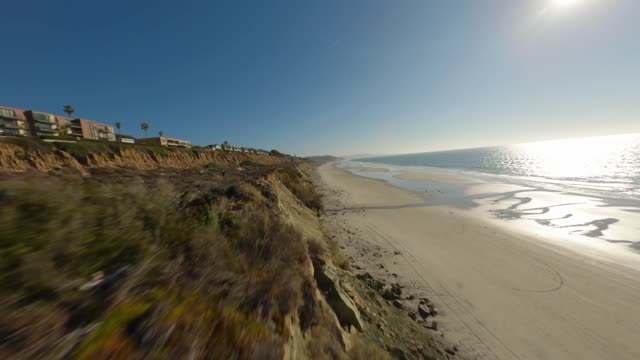 Low aerial view of the cliffs, palm trees and the ocean in Del Mar.