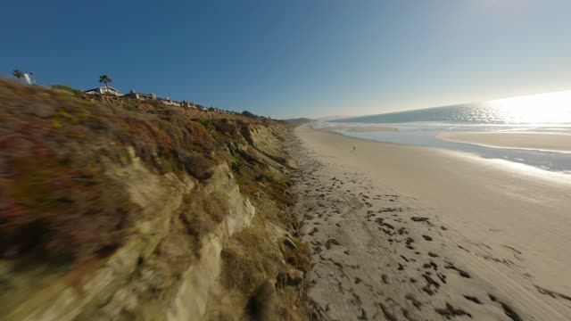 Low aerial view of the cliffs, palm trees and the ocean in Del Mar, with people walking.