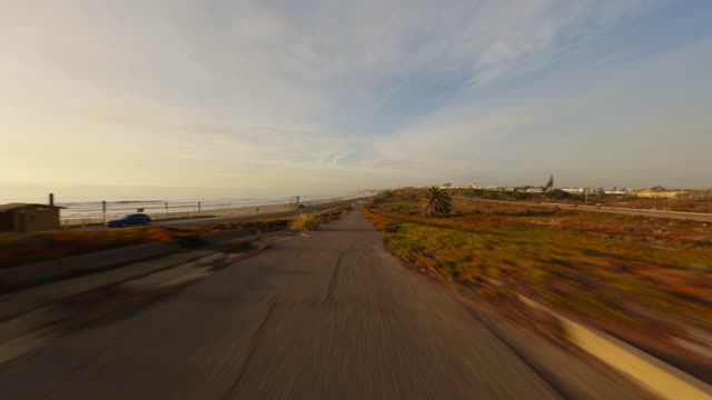 Low aerial view of the beach, palm trees and the ocean in Carlsbad.