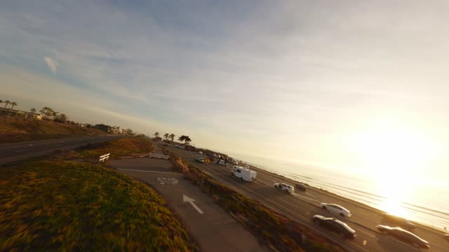 Low aerial view of the beach, palm trees and the ocean in Carlsbad.