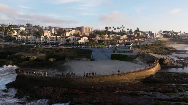 Low aerial view of the beach, palm trees and the ocean at La Jolla Cove, with a crowd gathered.