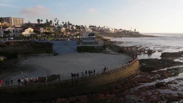 Low aerial view of the cliffs, palm trees and the ocean at La Jolla Cove, with a crowd gathered.