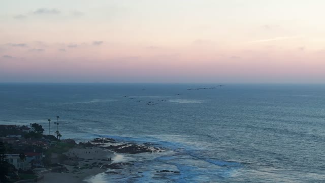 Aerial view of the cliffs, wildlife and the ocean at La Jolla Cove.