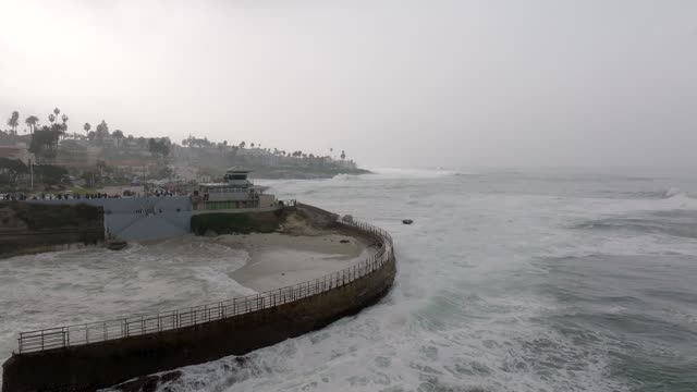 Low aerial view of the cliffs, the surf and wildlife at La Jolla Cove, with a crowd gathered.