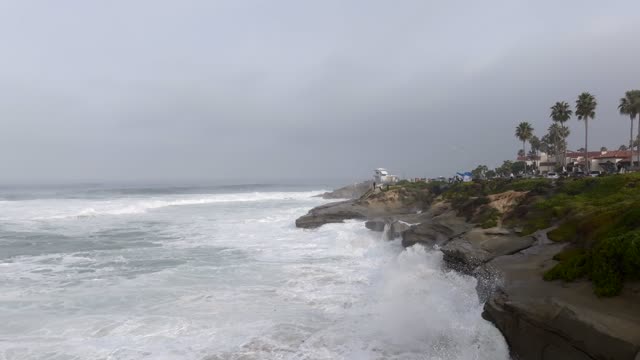 The cliffs, the surf and palm trees at La Jolla Cove.