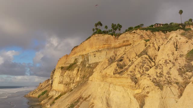 Low aerial view of the cliffs, palm trees and the ocean at Black’s Beach.