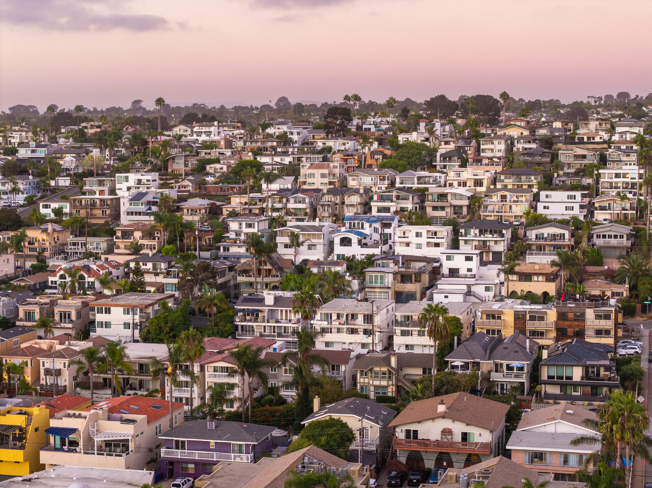 Aerial view of a residential street, palm trees and homes in Cardiff.