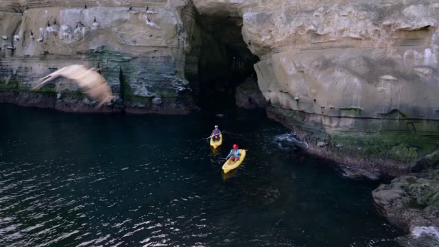 Low aerial view of the cliffs, wildlife and the ocean at La Jolla Cove, with paddlers on the water.