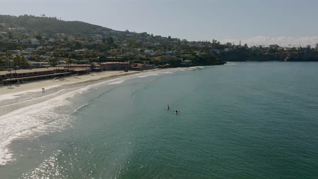 Aerial view of the beach, palm trees and the ocean at La Jolla Shores, with paddlers on the water.