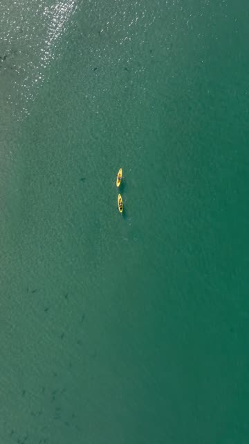 Aerial view of the beach, boats and the ocean at La Jolla Shores, with paddlers on the water.