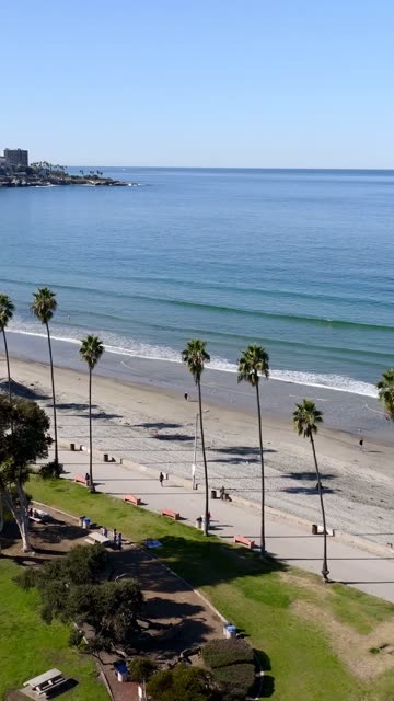 Aerial view of the beach, palm trees and the ocean at La Jolla Shores, with people walking.