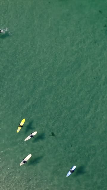 Aerial view of the beach, the ocean and the water at La Jolla Shores, with surfers out.