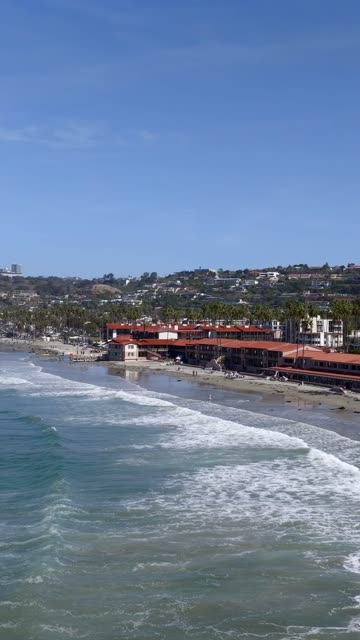Aerial view of the beach, the surf and palm trees at La Jolla Shores.