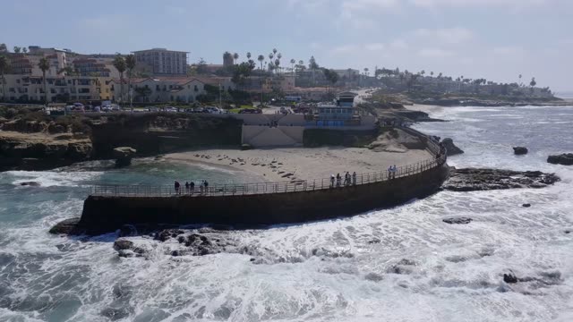 Aerial footage of seals resting on the sand at Children's Pool with visitors along the railing in La Jolla | Drone Video