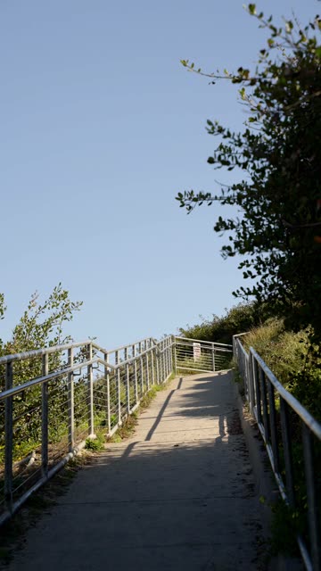 Pathway with railings and coastal shrubs leading down to Moonlight Beach in Encinitas | Vertical Video