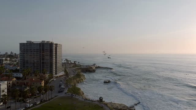 Aerial footage of birds flying over ocean waves near a high-rise condo along the coastline at La Jolla Cove at sunset | Drone Video