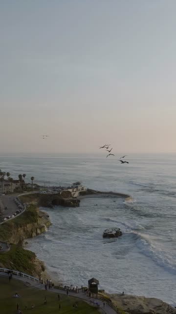 Aerial footage of pelicans flying above La Jolla Cove as waves break along the seawall by clifftop homes in La Jolla | Vertical Drone Video